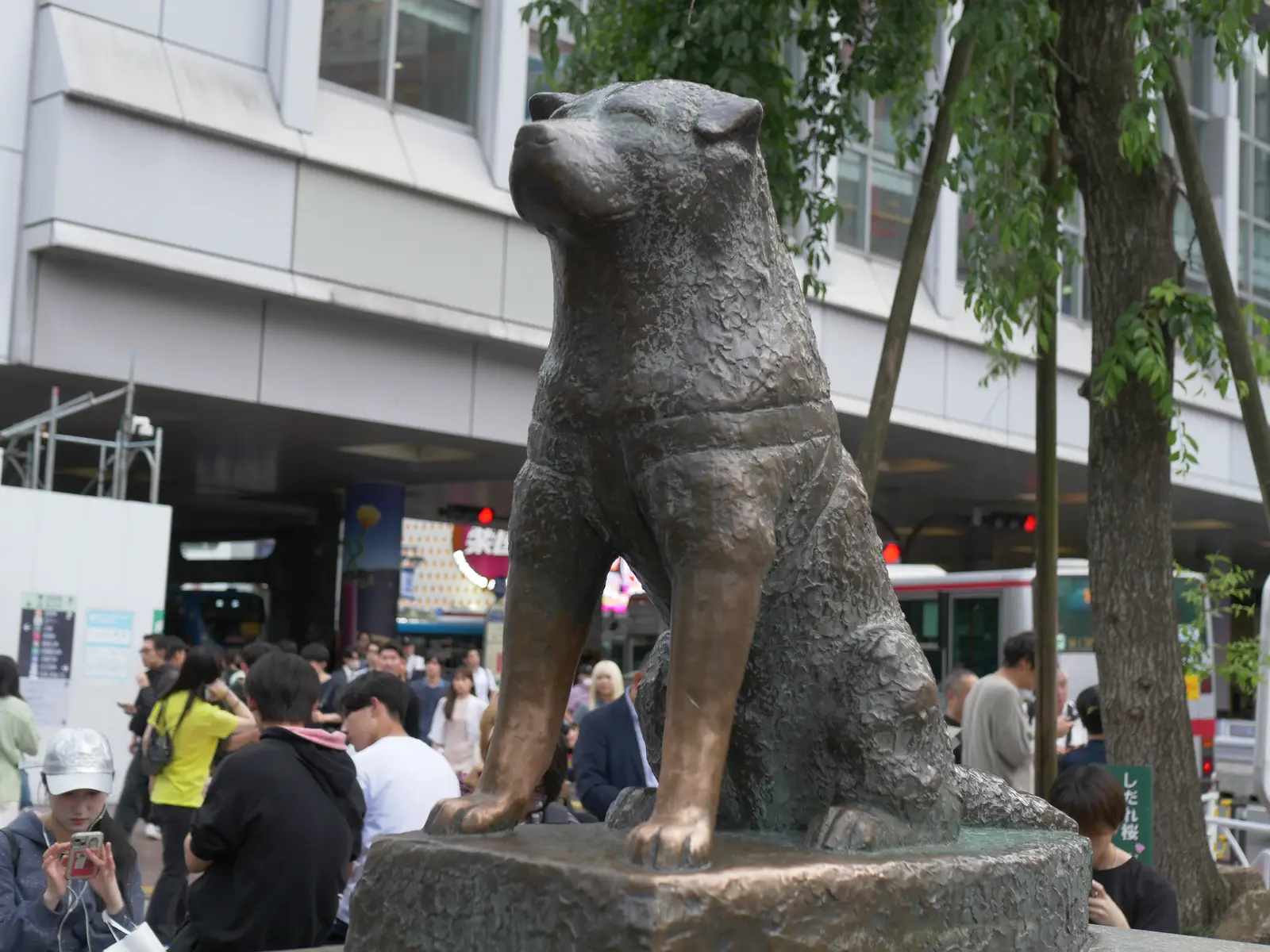 statue de Hachikō