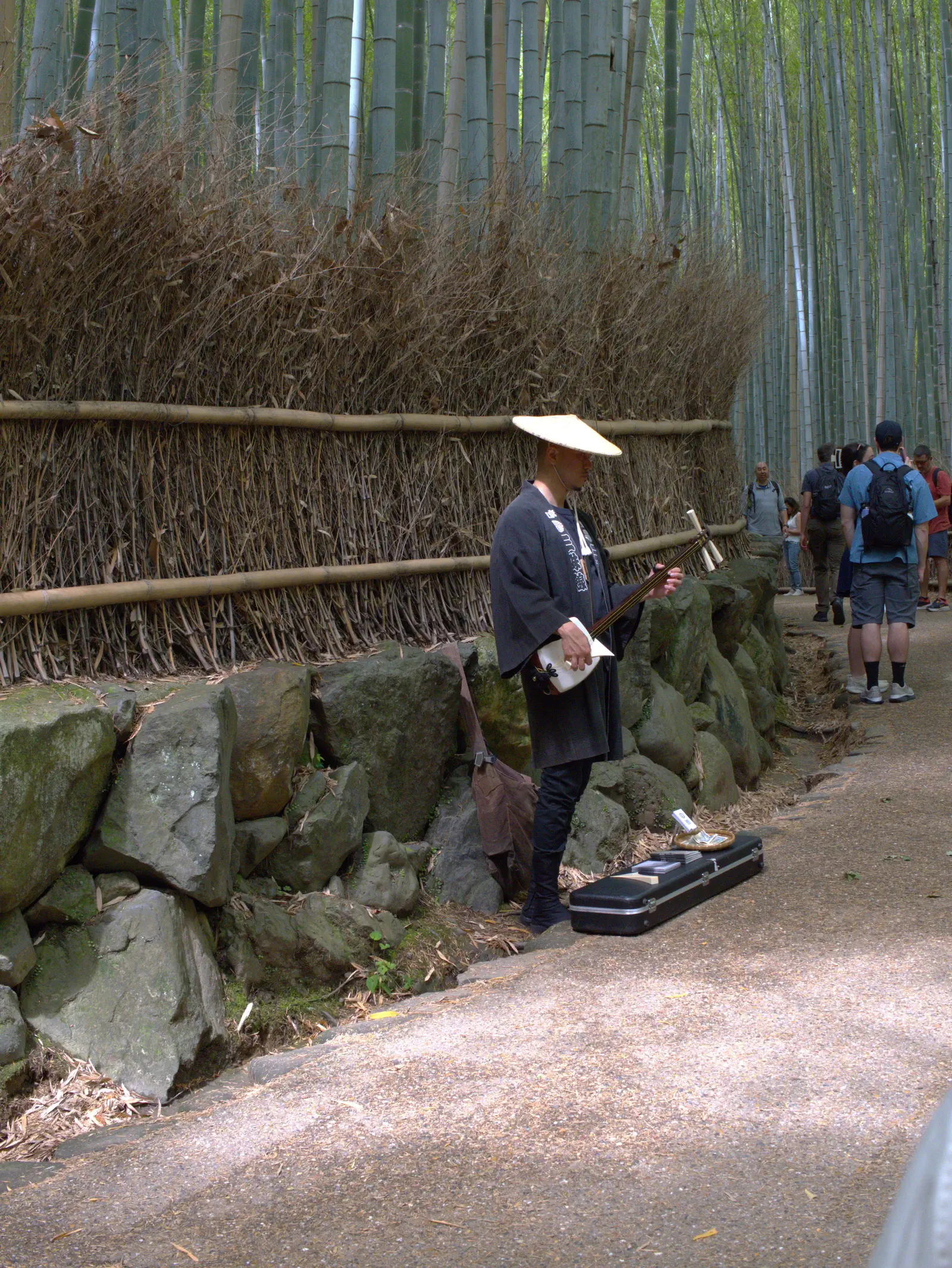 Artiste de rue jouant du kokyū à Arashiyama